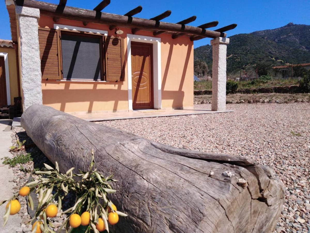 Agriturismo Donnolu แตร์เตนิอา ภายนอก รูปภาพ