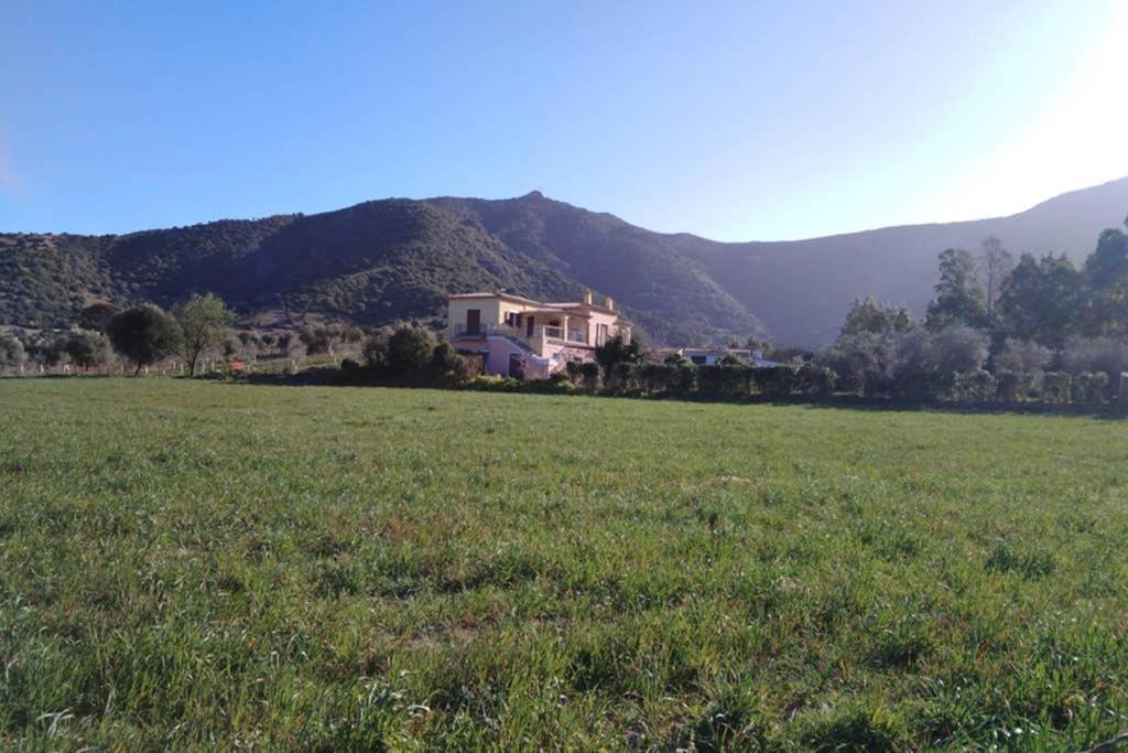 Agriturismo Donnolu แตร์เตนิอา ภายนอก รูปภาพ