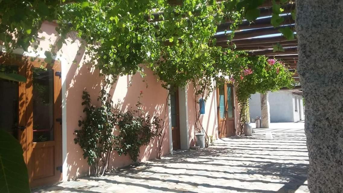 Agriturismo Donnolu แตร์เตนิอา ภายนอก รูปภาพ
